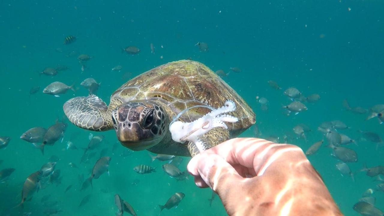 Pousada Convés - Ilha Grande Praia de Araçatiba Exterior foto