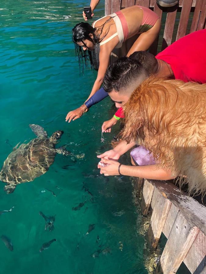 Pousada Convés - Ilha Grande Praia de Araçatiba Exterior foto