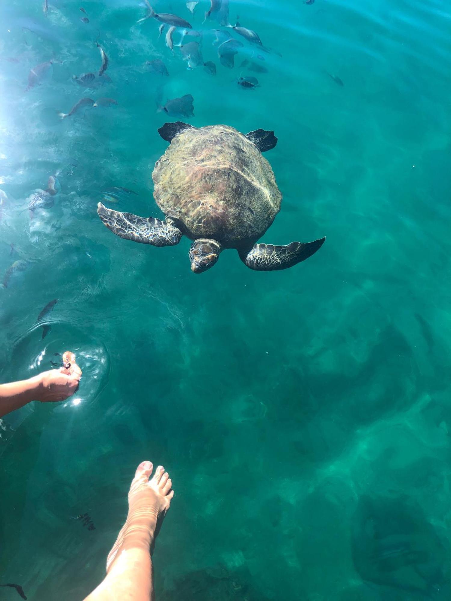 Pousada Convés - Ilha Grande Praia de Araçatiba Exterior foto